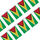 Guirlande Drapeau Guyana en Polyester - Pixelforma 