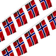 Guirlande drapeau île bouvet en polyester à suspendre