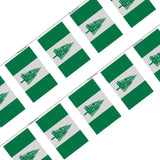 Guirlande drapeau île norfolk - pixelforma