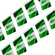 Guirlande drapeau île norfolk polyester à suspendre