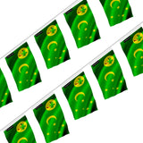 Guirlande drapeau îles cocos polyester à suspendre
