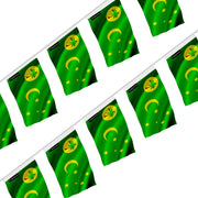 Guirlande drapeau îles cocos polyester à suspendre