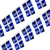 Guirlande drapeau martinique polyester à accrocher extérieur