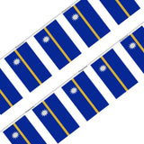 Guirlande Drapeau Nauru en Polyester - Pixelforma 