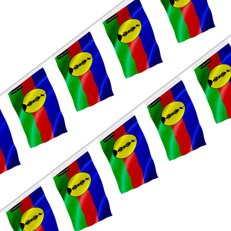 Guirlande drapeau nouvelle-calédonie polyester à suspendre