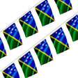 Guirlande drapeau salomon polyester à accrocher festive