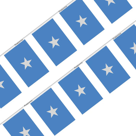 Guirlande Drapeau Somalie en Polyester - Pixelforma 