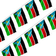 Guirlande drapeau soudan du sud en polyester à suspendre