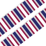 Guirlande drapeau thaïlande - pixelforma