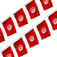 Guirlande drapeau tunisie en polyester à accrocher