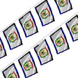 Guirlande drapeau virginie-occidentale en polyester résistant