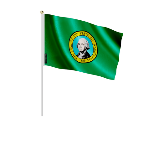 Lots mini drapeau washington en plusieurs tailles - pixelforma