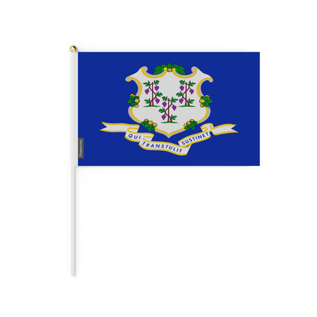 Mini drapeau connecticut en plusieurs tailles - pixelforma