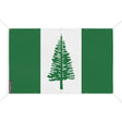 Mini drapeau île norfolk en polyester résistant intempéries