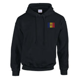 Sweat à capuche andorre broderie couleur coton mélangé