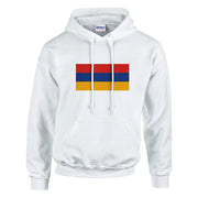 Sweat à capuche arménie coton mélangé broderie couleur