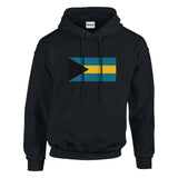 Sweat à capuche bahamas coton mélangé broderie couleur