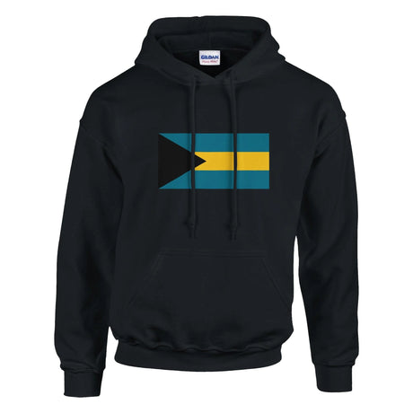 Sweat à capuche bahamas coton mélangé broderie couleur