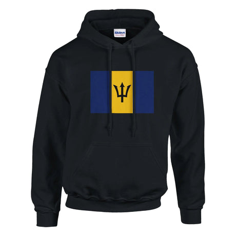 Sweat à capuche barbade coton mélangé broderie couleur