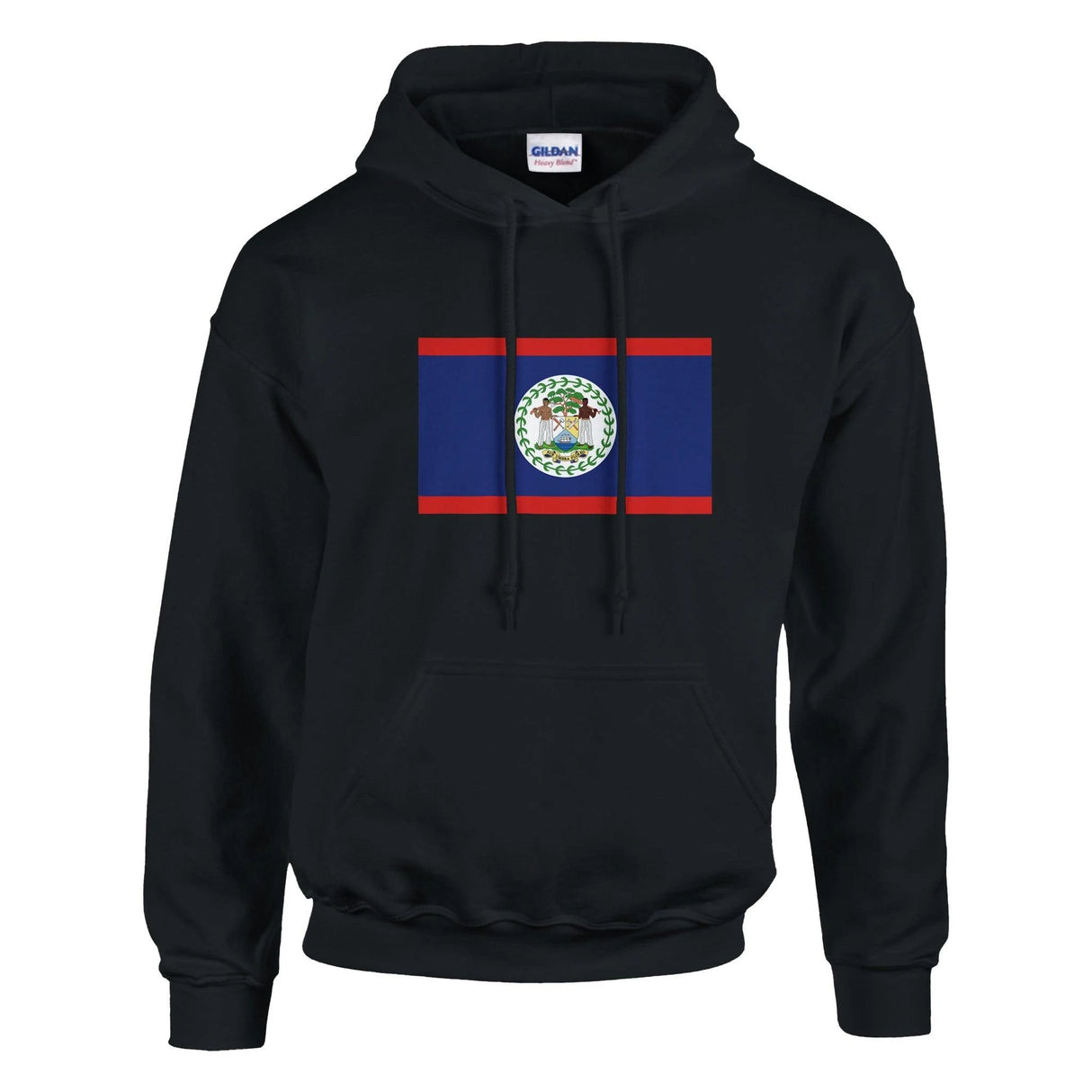 Sweat à capuche belize coton mélangé broderie couleur