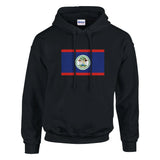 Sweat à capuche belize coton mélangé broderie couleur