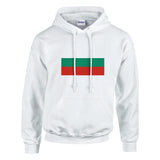 Sweat à capuche bulgarie coton mélangé broderie couleur