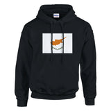 Sweat à capuche chypre coton mélangé broderie couleur