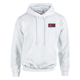 Sweat à capuche corée du nord coton mélangé brodé