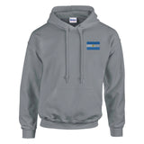 Sweat à capuche drapeau argentine brodé coton mélangé