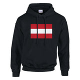 Sweat à capuche drapeau autriche coton mélangé brodé