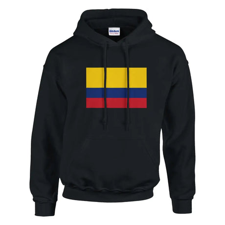 Sweat à capuche Drapeau de la Colombie - Pixelforma 