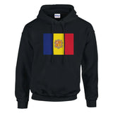 Sweat à capuche Drapeau de la Moldavie - Pixelforma 