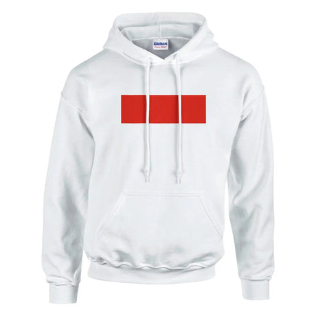 Sweat à capuche drapeau de l’indonésie - pixelformaflag