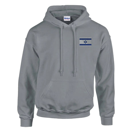 Sweat à capuche drapeau d’israël broderie coton mélangé