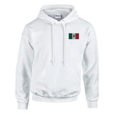 Sweat à capuche drapeau du mexique en broderie - pixelformaflag
