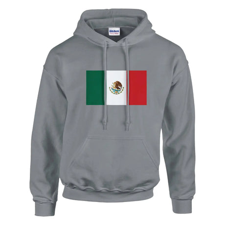 Sweat à capuche drapeau du mexique - pixelformaflag
