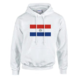 Sweat à capuche Drapeau du Paraguay - Pixelforma 