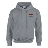 Sweat à capuche drapeau du paraguay en broderie - pixelformaflag
