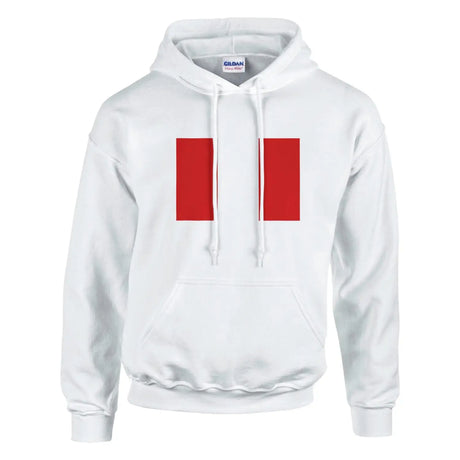 Sweat à capuche drapeau du pérou - pixelformaflag