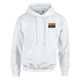 Sweat à capuche drapeau équateur brodé coton mélangé