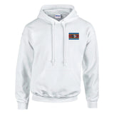 Sweat à capuche drapeau eswatini brodé coton mélangé