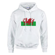 Sweat à capuche drapeau galles coton mélangé broderie