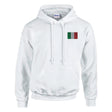 Sweat à capuche drapeau italie brodé coton mélangé
