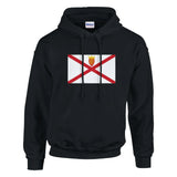 Sweat à capuche drapeau jersey coton mélangé broderie