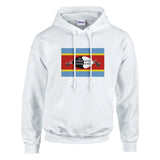Sweat à capuche eswatini coton mélangé broderie couleur