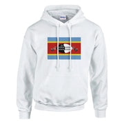 Sweat à capuche eswatini coton mélangé broderie couleur
