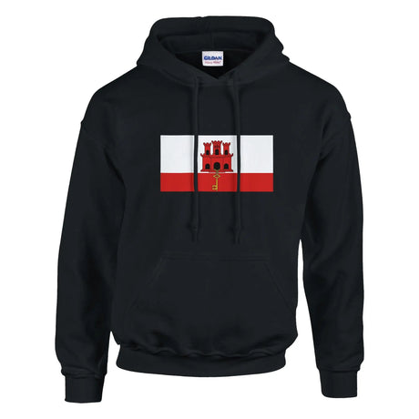 Sweat à capuche gibraltar coton mélangé broderie couleur