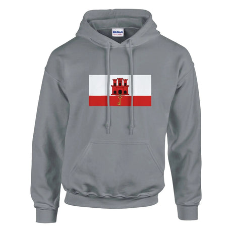 Sweat à capuche gibraltar coton mélangé broderie couleur