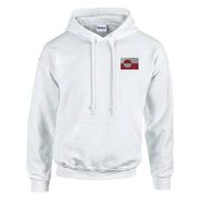 Sweat à capuche groenland coton mélangé broderie couleur