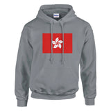Sweat à capuche hong kong coton mélangé broderie confortable
